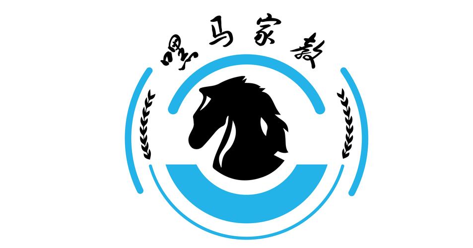 湖南嘿马教育科技 软件外包服务的创新实践与价值探索